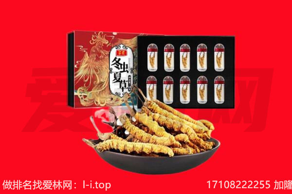 普洱市思茅回收虫草.jpg